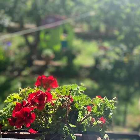 Apartman Dalija Vinkuran Buitenkant foto