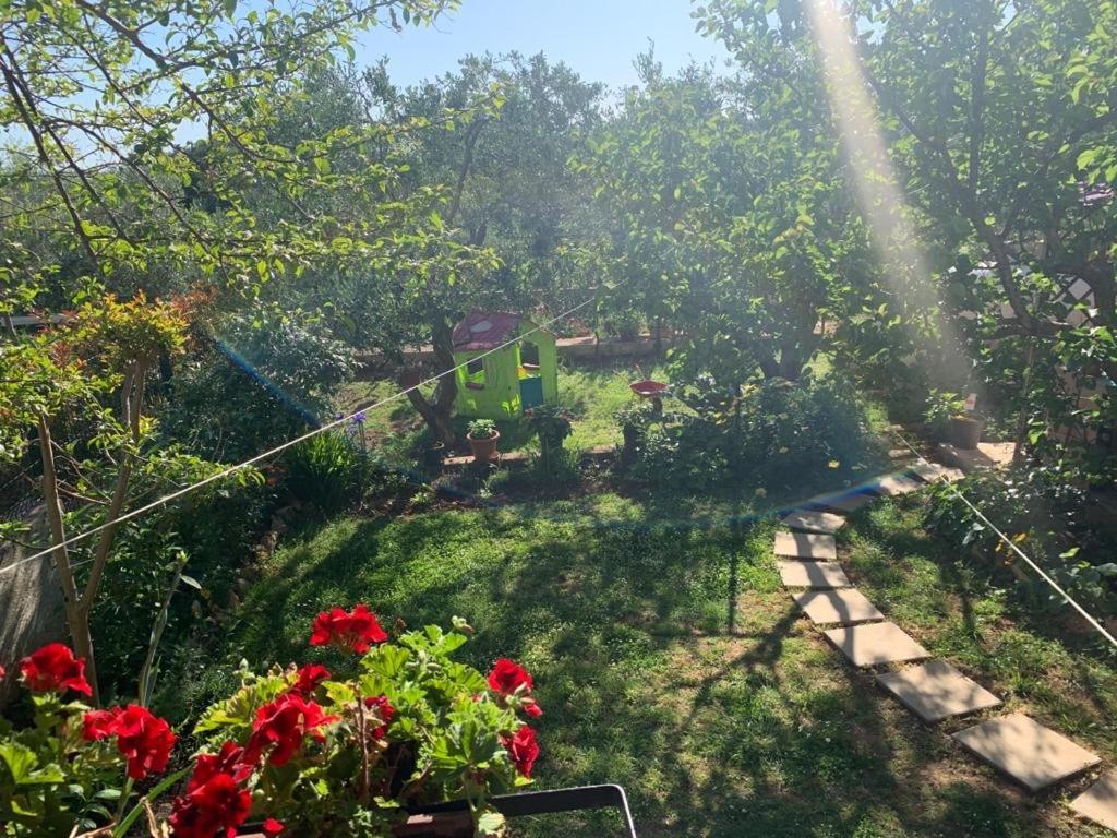 Apartman Dalija Vinkuran Buitenkant foto