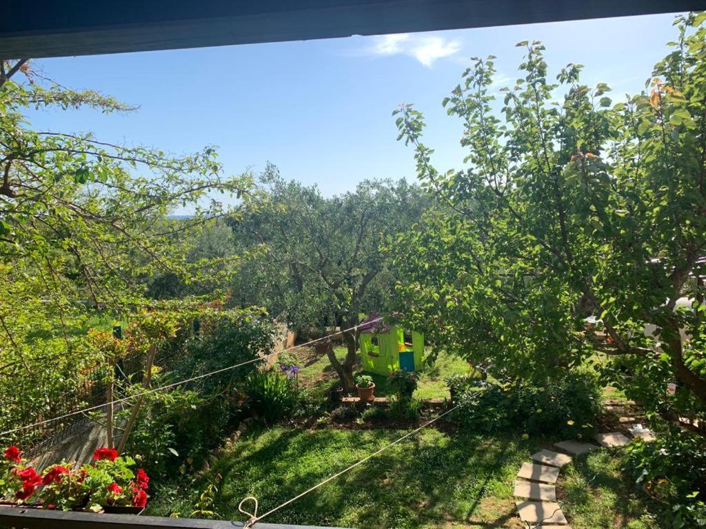 Apartman Dalija Vinkuran Buitenkant foto